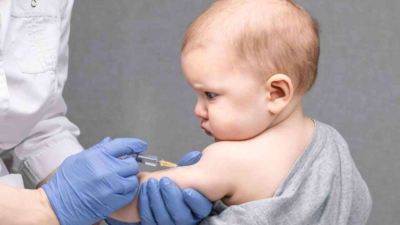 The-Council-of-Mosques